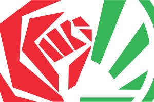 PvdA en GroenLinks doen samen mee aan de Europese Verkiezingen
